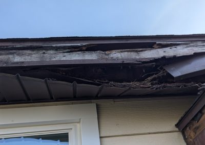 Overhangs & Fascia Damage